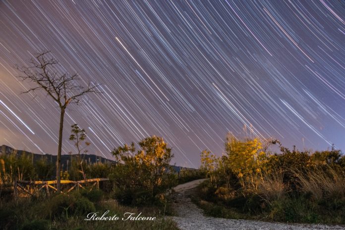 Foto di Roberto Falcone